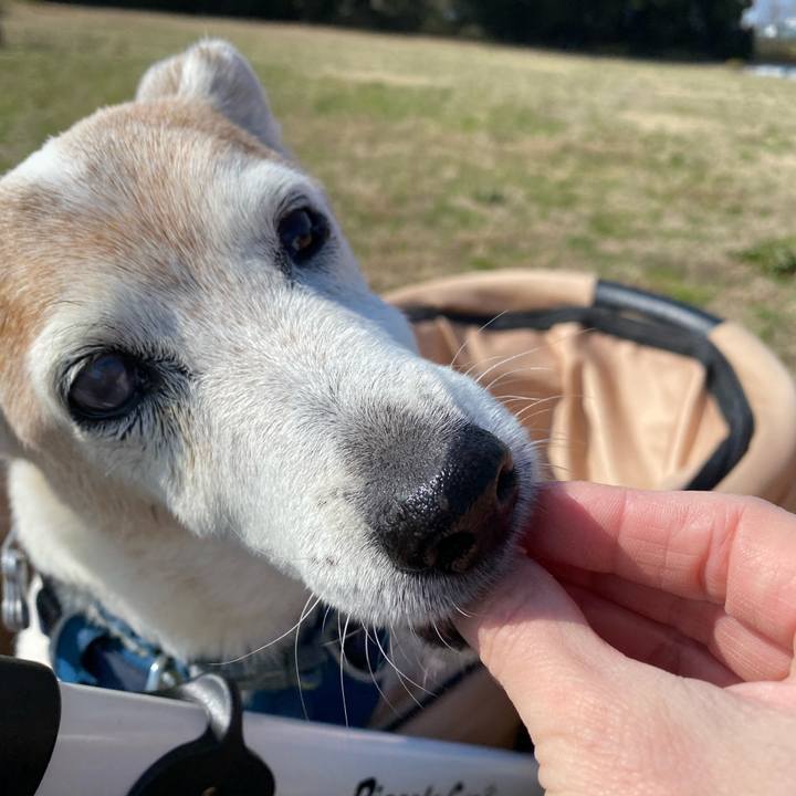 E4c824e9 6928 48bf 9d31 e05bfacfedc6 1677128756587