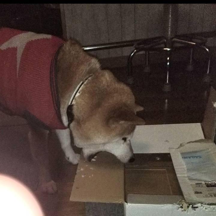 E4c82f42 f68f 4f11 b600 4a2ff4ae7c22 1606727549669