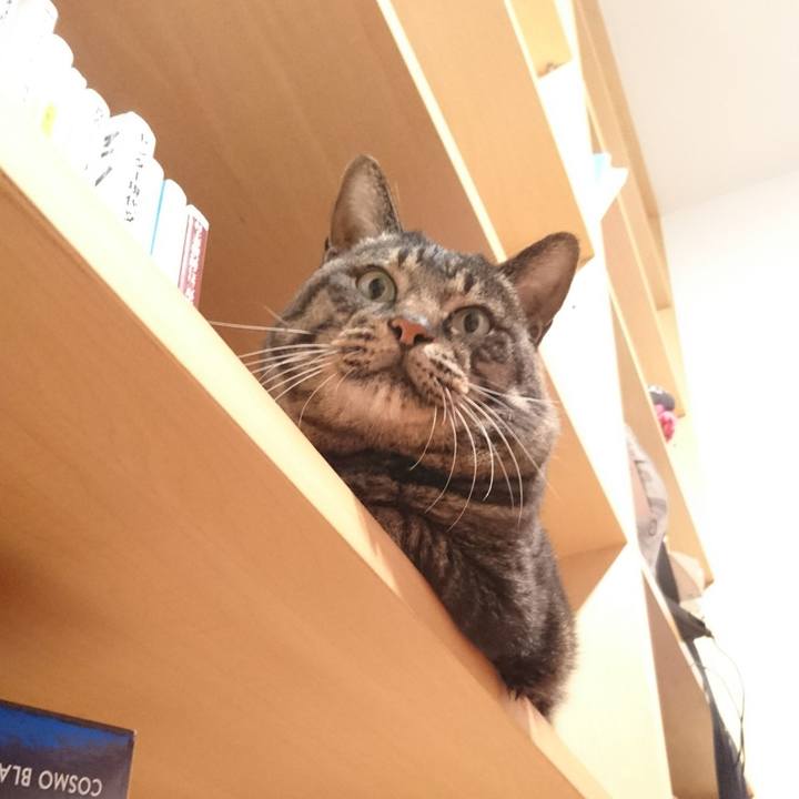 E4c83b6a dd15 4d00 b5e6 5ace9719e816 1543044856361