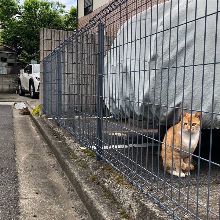 E4c89329 1c3d 4339 8828 cf640ea97629 1557536155770