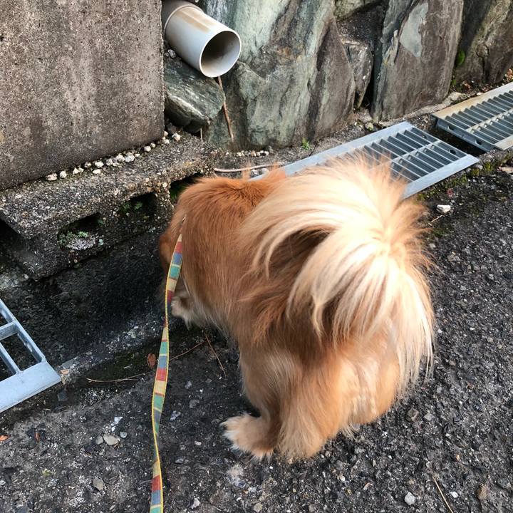 E4c8b5f6 510e 4467 b18f b1e4393a8a08 1511564087904