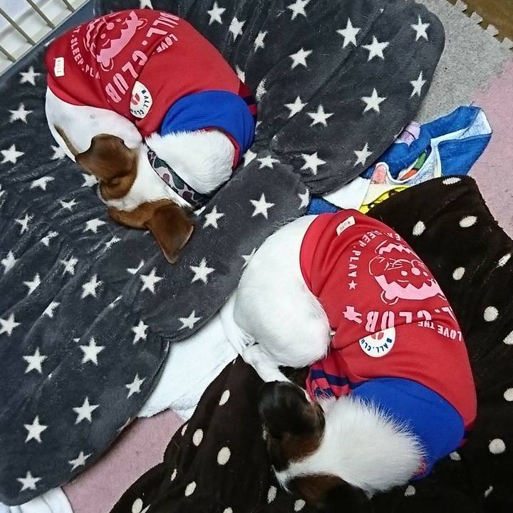 E4c8c6e0 5c86 4c92 93ad 16a69882a200 1543062771811