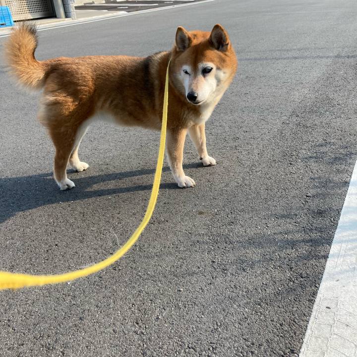 E4c8ffbf 341c 4882 91b8 bff7a5f2e0e3 1655453268511