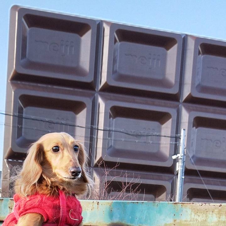 E4c90faa 06fd 4e2d a05e 67dac43a7206 1644839681312