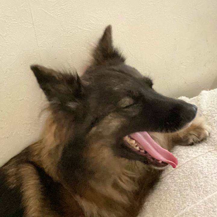 E4c91cad 9aad 4b10 9f7f 7857c39c5930 1757835011352