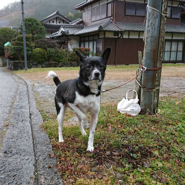 E4c9376d d4bf 4ef6 ae50 9504534e8b4a 1580426497501