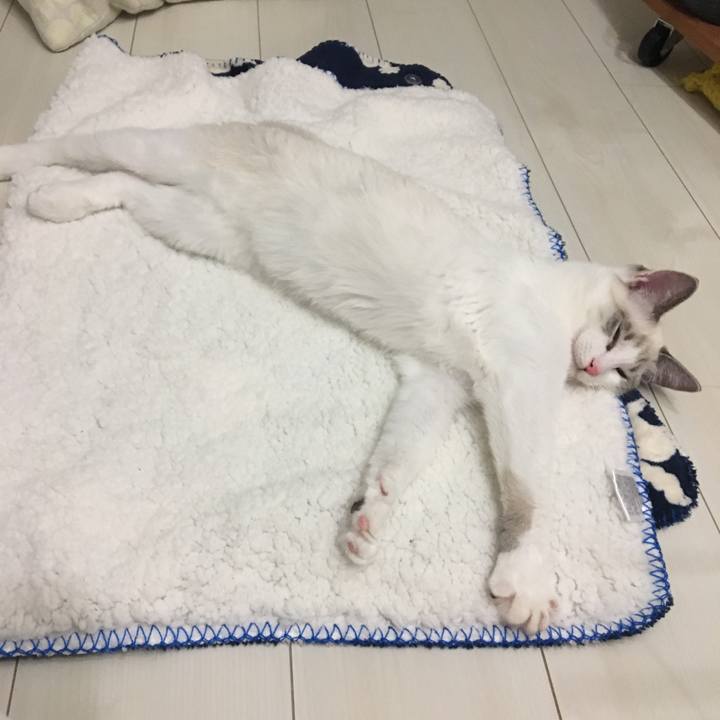 E4c971ee 806c 41e4 8a72 f37502c175bd 1511025409230