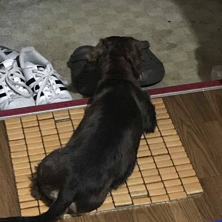 E4c98a8e 2c51 4e47 8804 6e5ca7ace8e3 1527934928626