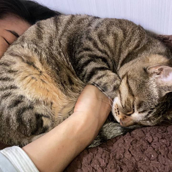 E4c9c109 2d55 4402 946e 4f62b0200576 1675652846343