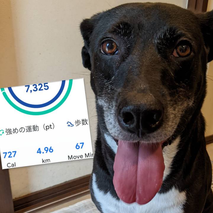 E4c9dc69 bde0 4827 8465 a77d60e8c925 1695342862627