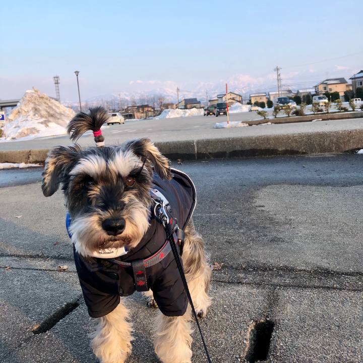 E4c9efe6 2c48 4445 8d5e 04f08a46ac9d 1645876433902