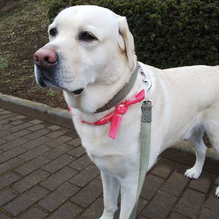 E4c9f7e4 1145 4814 86cc 75825a67d151 1579224597066