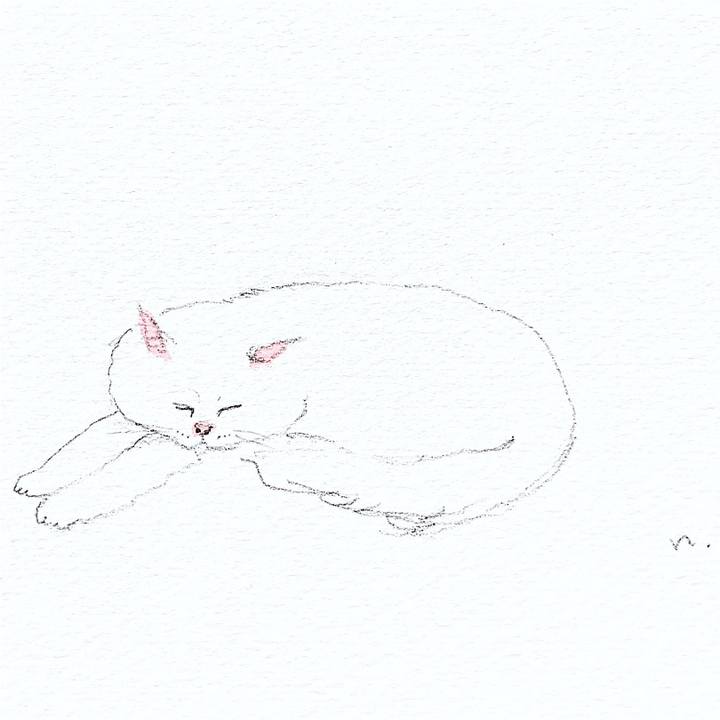 E4ca5ad9 c5a6 4c4a b5ba a8700c7dcb82 1621644139208