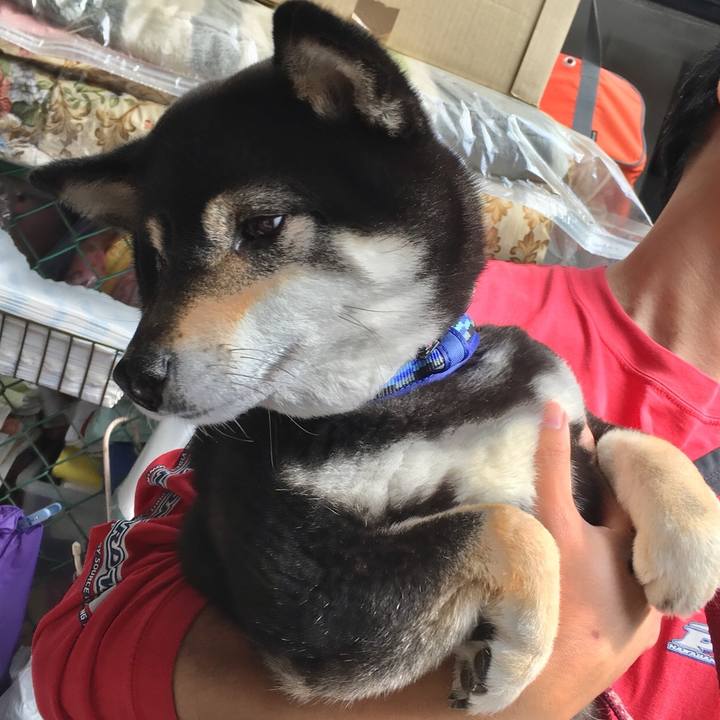 E4cab575 bf9c 47e4 a763 7b06e07314d0 1558175606932