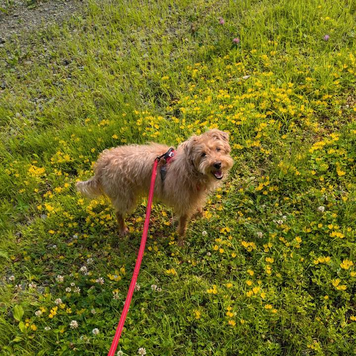 E4caba52 087b 4ffb 888b a719d3073375 1720043414902