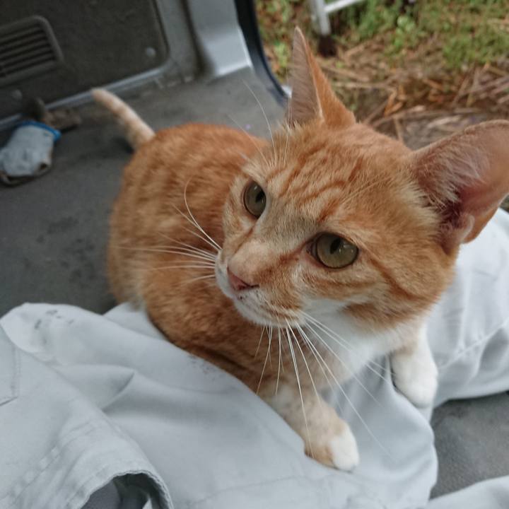 E4cb0b22 862b 486f a1f1 410562c8facc 1594803579473