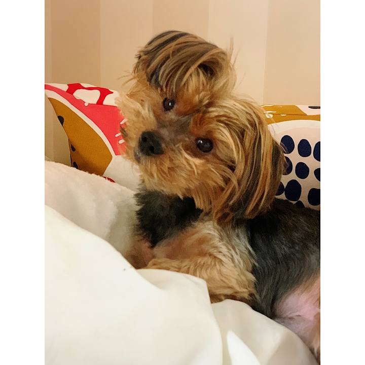 E4cb14b0 d129 4c51 8f35 9580b550d19f 1573462120439