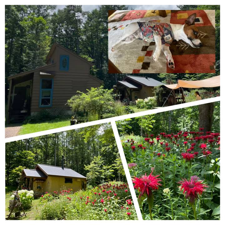 E4cb18b5 7ecd 4ae1 b56e 33be6f048fdb 1626414903803