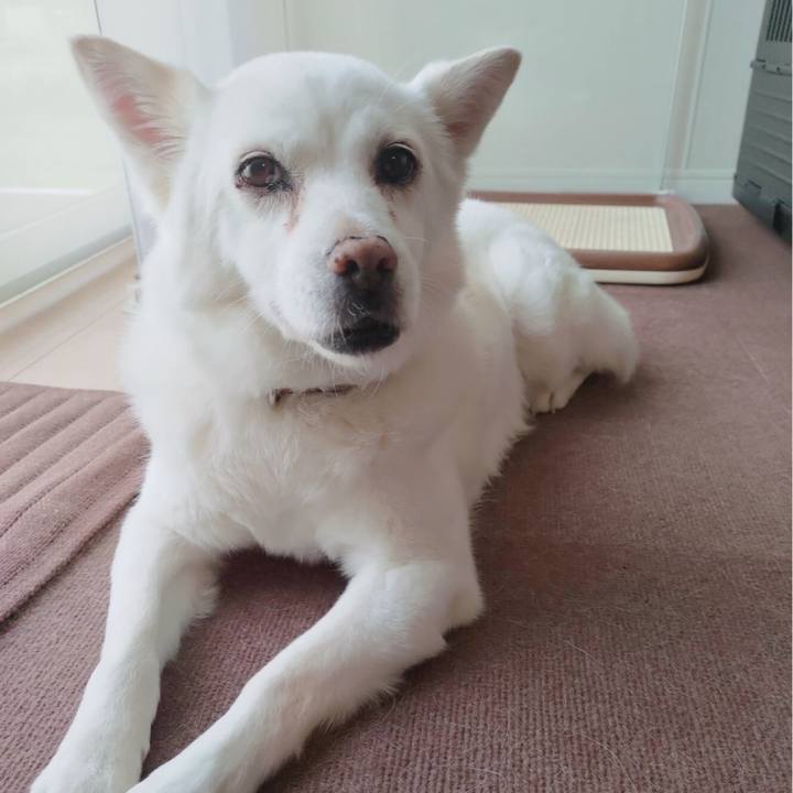 E4cb1c59 9ead 4b19 912d 9872067ee1c8 1653140665380