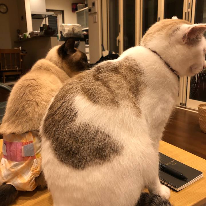 E4cb239b 09e5 4487 9a24 7f78ef78f766 1576537831308