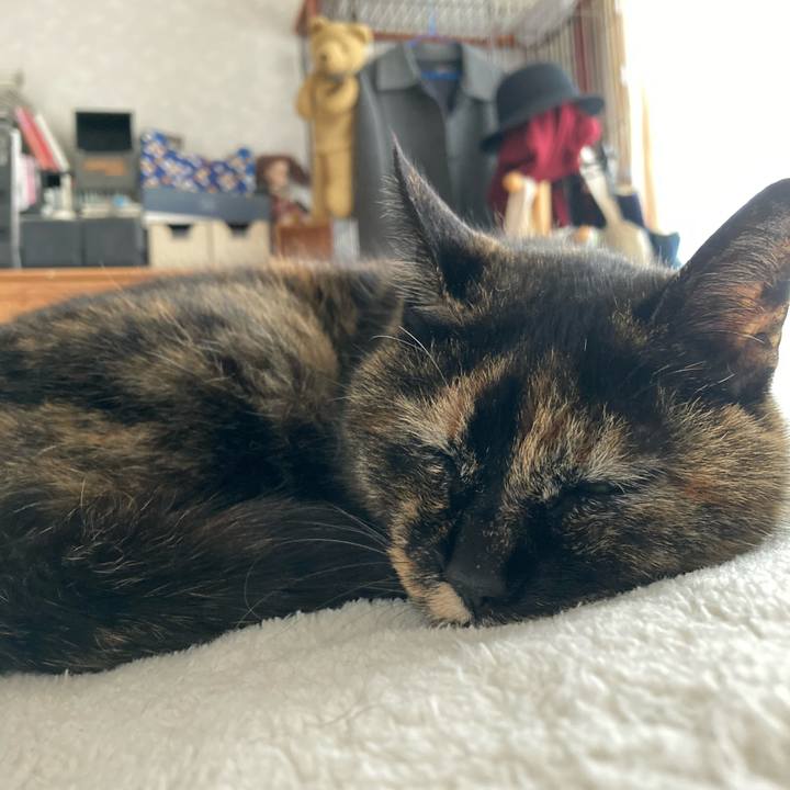 E4cb3fac 3136 4030 b742 2226f8466be0 1622171921091