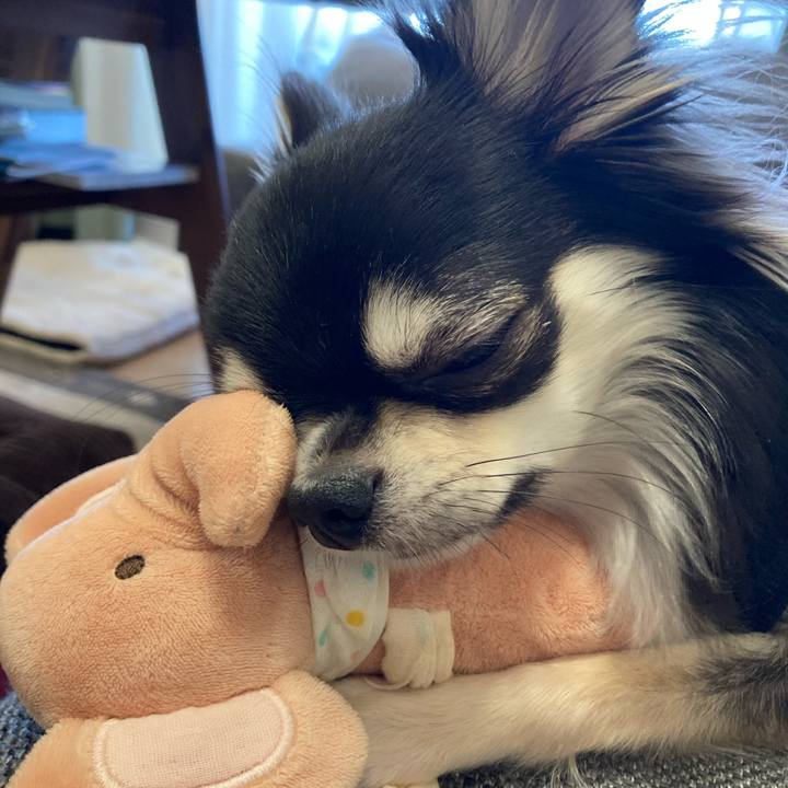 E4cb86dc 1f40 4cb6 9e41 a4100e148c43 1610236986704