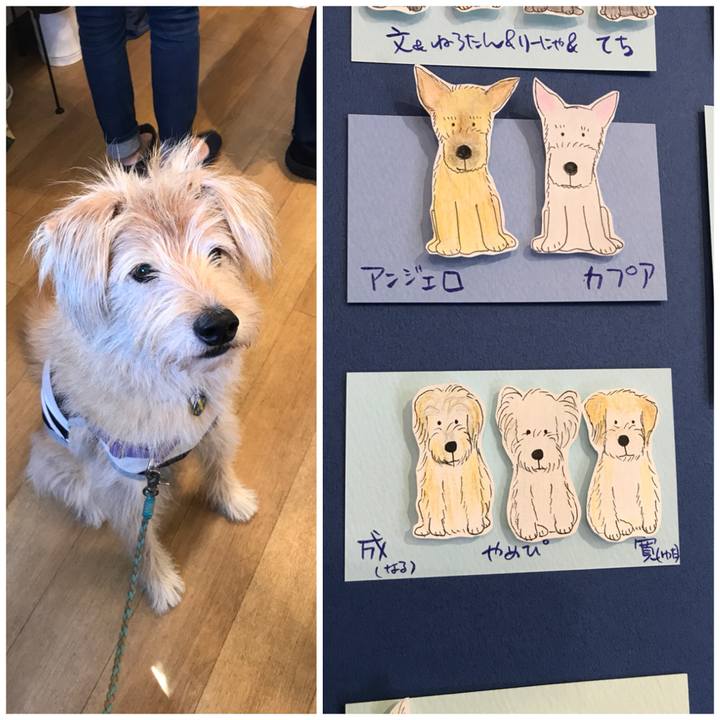 E4cbb222 e1cc 4201 9879 4ddc41702854 1540104907448