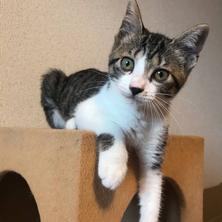 E4cbbb14 3000 447b 8bc8 45f29d74966e 1596632050490