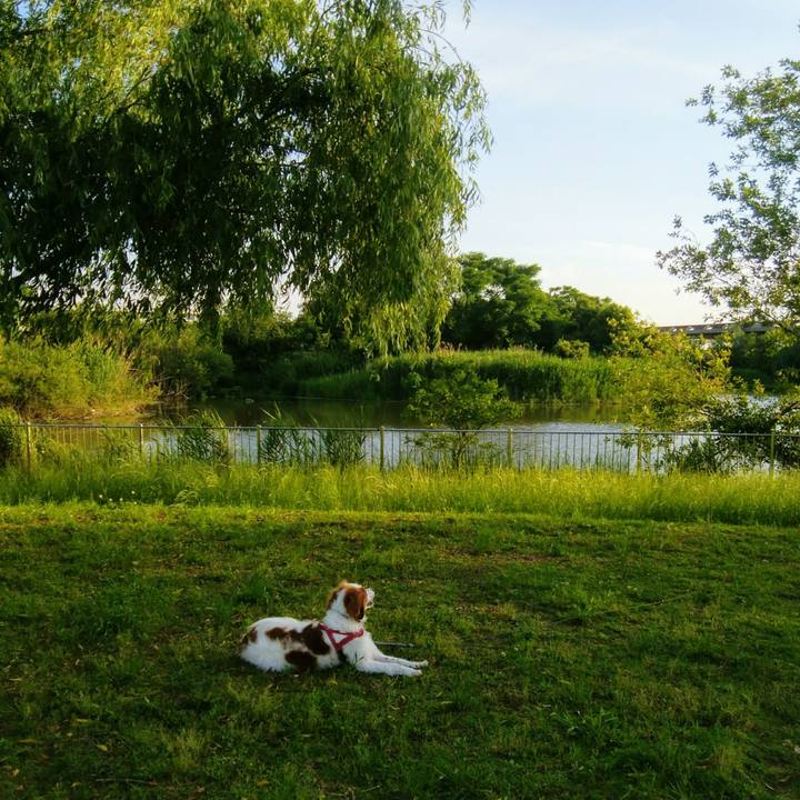 E4cc0df7 a663 4233 b052 b59b62bb5b9b 1559388938242