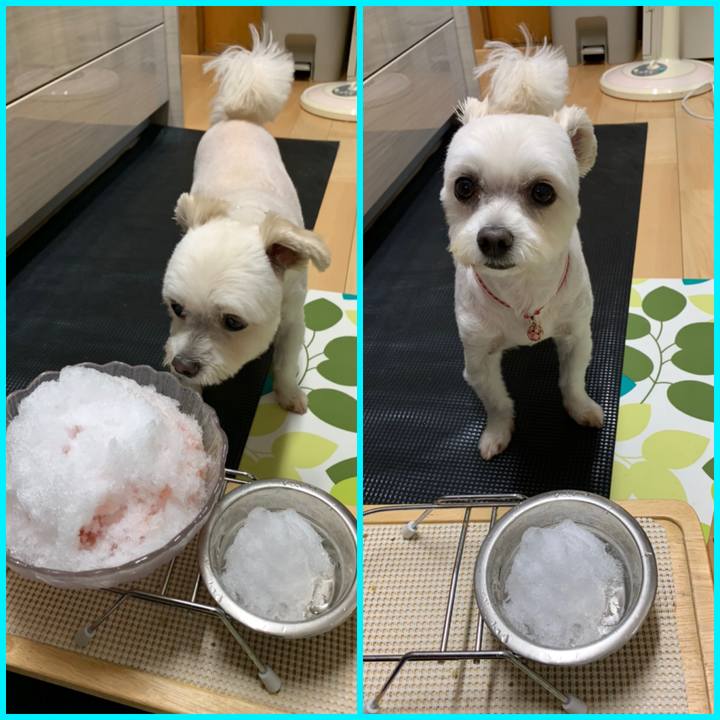 E4cc0ed8 8969 4d9c 9b59 f6106199465b 1597805904304