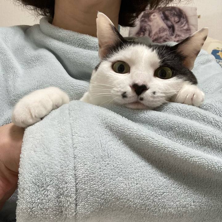 E4cc3c53 ede2 4504 8637 49e889168ff1 1772483177394