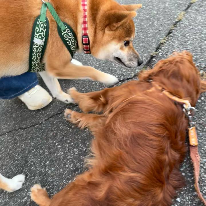 E4cc429c 8413 405a 9aa9 656122baf042 1665228960227