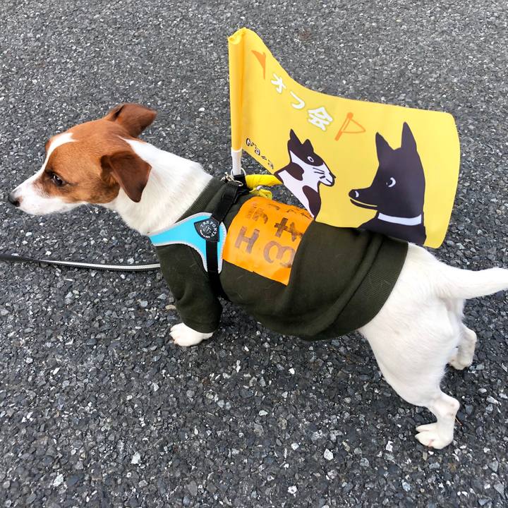 E4cc4be6 8e09 48e3 9c5d a374d0ea38dd 1555240494983