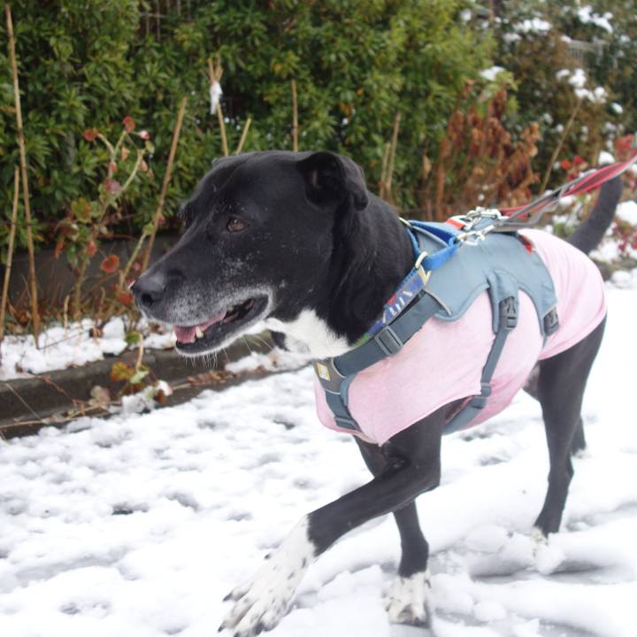 E4cc650c 7051 4093 a84d d1047c1dec31 1707180542699