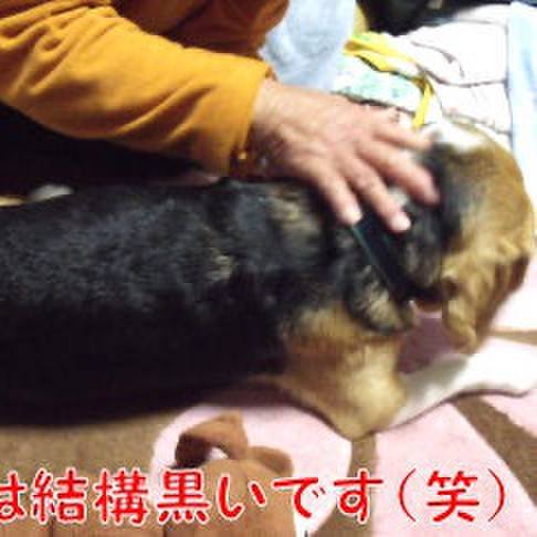 E4ccbd6c 2287 4178 bd0f 22be2dea0e6f 1709422211832