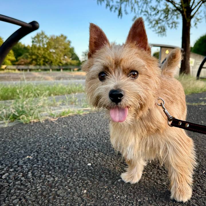 E4ccc1f3 1ca8 432c a76c e5f21fa16230 1756889696246