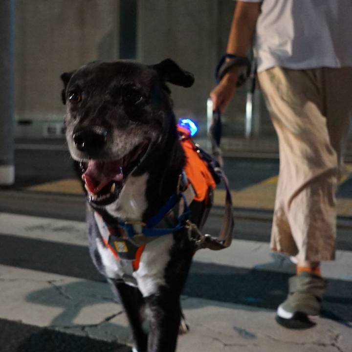 E4ccdfab e35c 4347 915e c11ac7afffbb 1757760135852