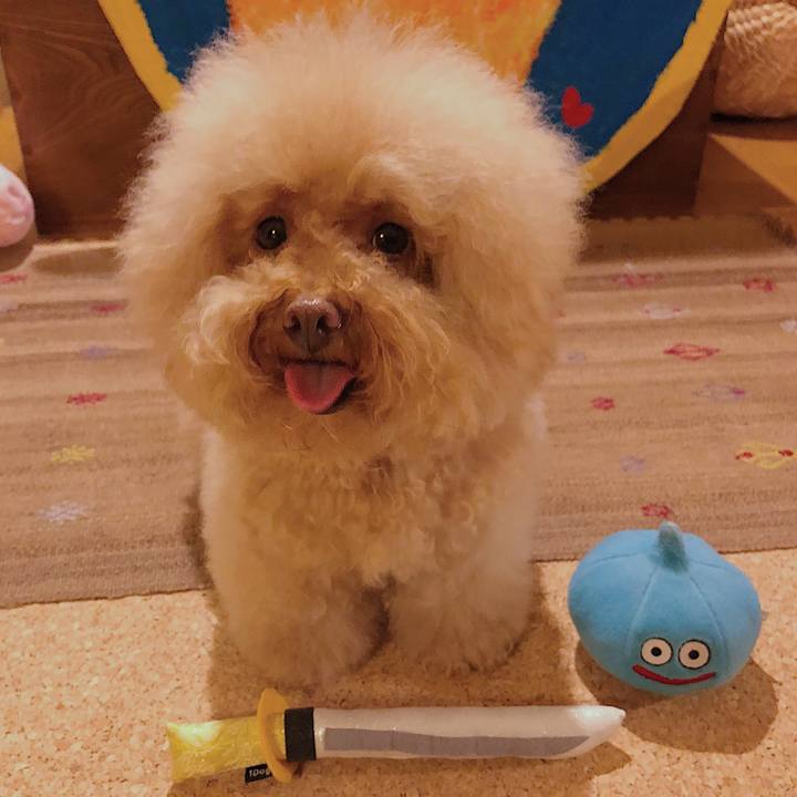 E4cce71b df27 4d2a b2d6 e2812582df3c 1536022739905