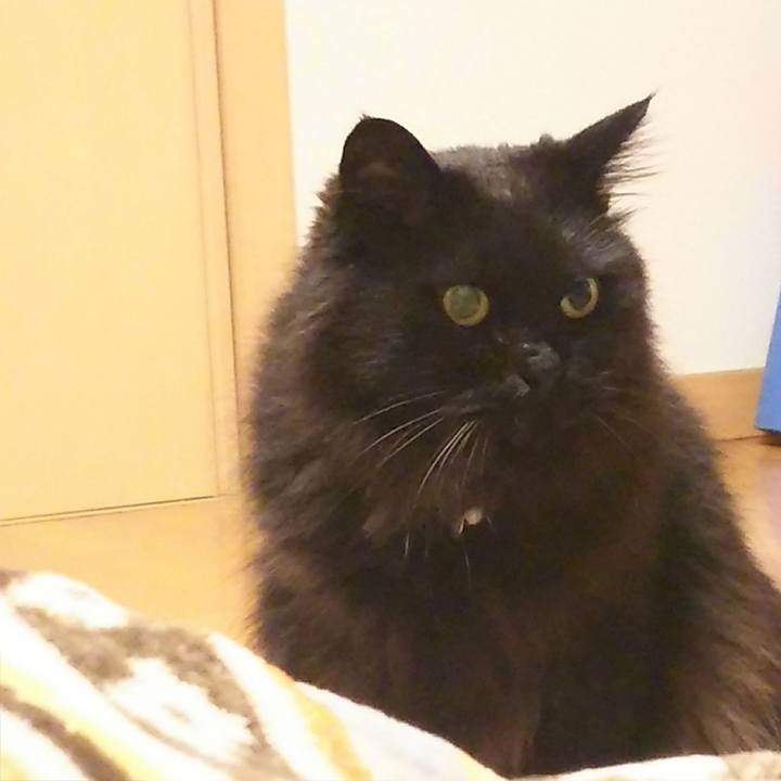 E4ccf3fe e43c 4d3b a00a e306d3a54bb2 1528549104227