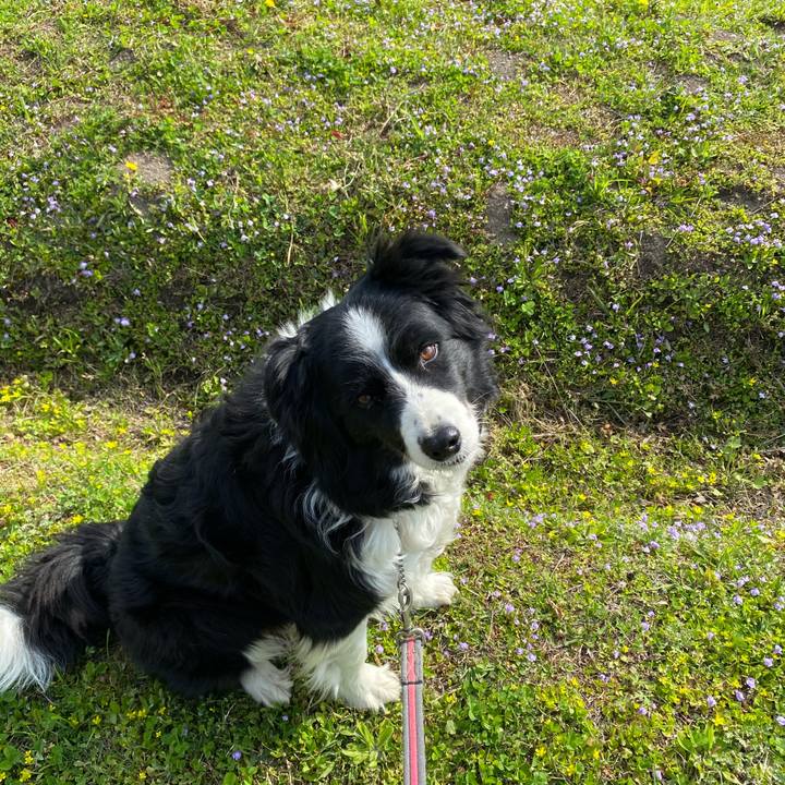 E4cd002b 44fe 4ed2 b194 85932a257416 1617324571593