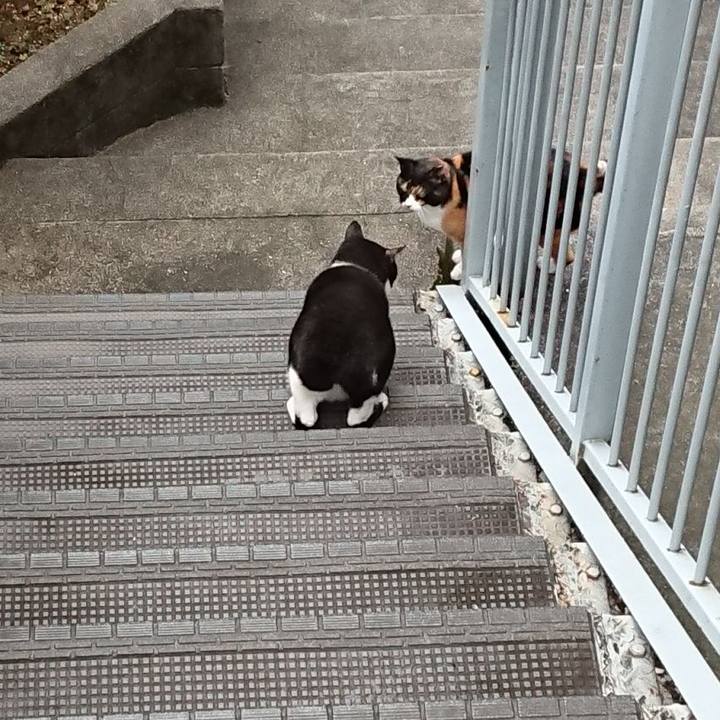 E4cd48cb 185c 43d8 9051 cafec8e5b245 1665530919305