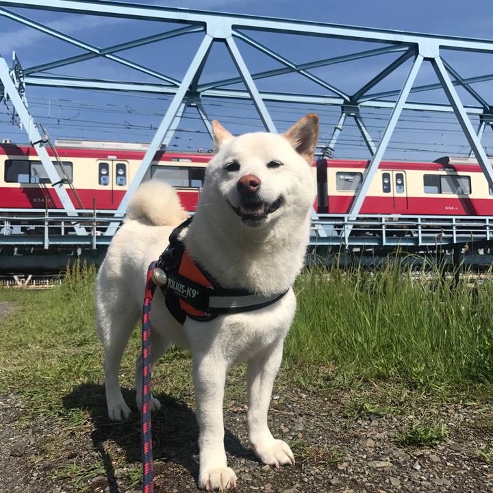 E4cdec6d a302 4bd8 a6bb 4a721e37c040 1525996208468