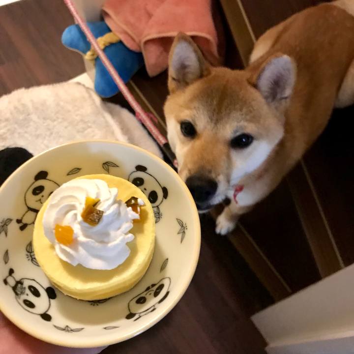 E4ce0d78 93ad 484f b3a5 8ac485ddb995 1514472444412