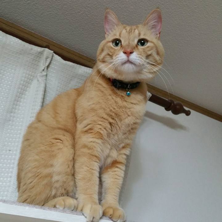 E4ce222f 004f 4acd bc67 269ed09aaeaa 1528066749992