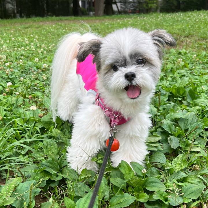 E4ce4482 47a1 4dd4 887e 7ac52e7d5f1b 1719530302501