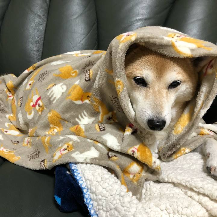 E4ce45db 9c4b 4c3f a357 0719fb8e4bfb 1602159477027