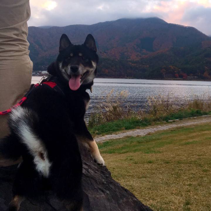 E4ce6ac4 6411 4eb5 a73b 8adacd89002d 1541942664497