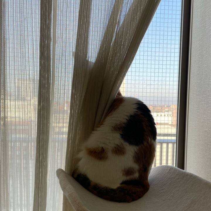 E4ce9c1d 16d0 44e8 9a3b 7ef773c84331 1643340799721