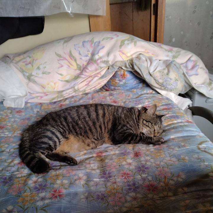 E4ced115 fe65 4164 9eca a6db590cbf57 1695176419396