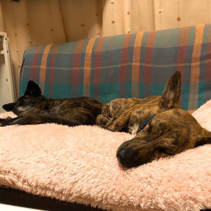 E4cf16c1 f4cd 4911 a1fb 261369f64029 1576759342807